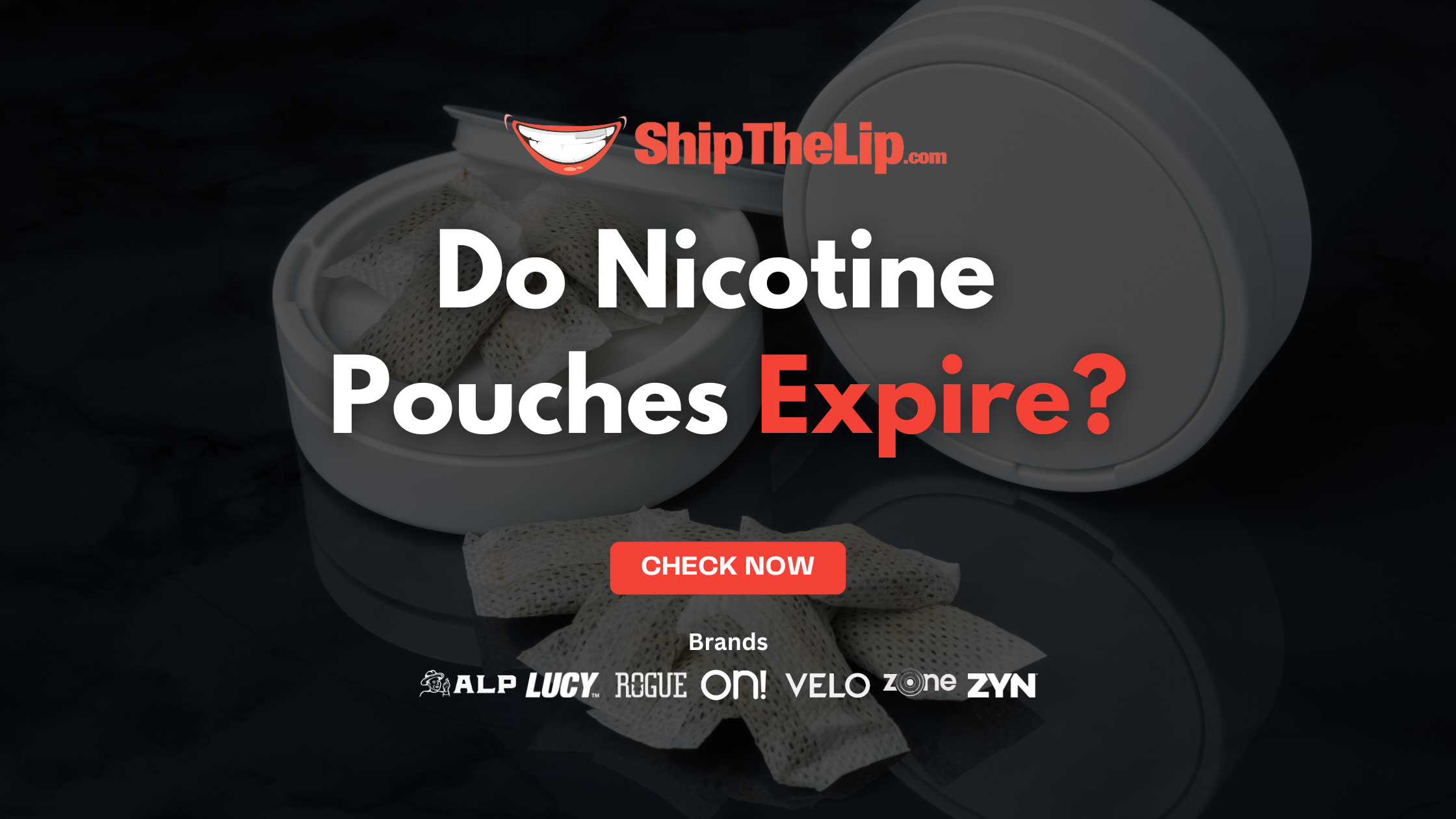 Do Nicotine Pouches Expire? Shelf Life, Storage Tips, and Freshness Secrets